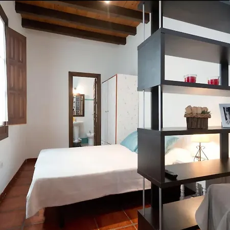 Apartamentos Centro Historico A Los Pies De La Alhambra Granada Buitenkant foto