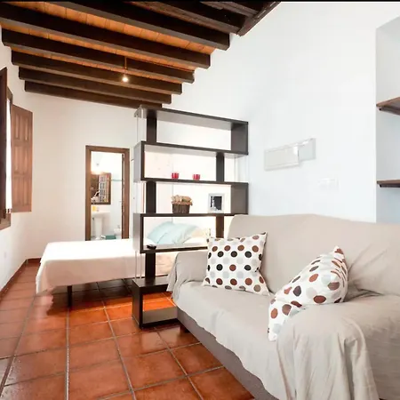 Apartamentos Centro Historico A Los Pies De La Alhambra Granada Buitenkant foto