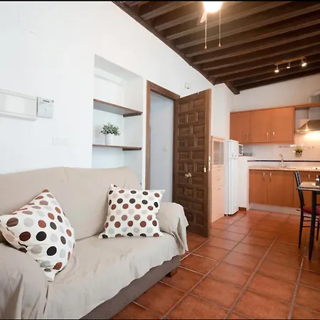 Apartamentos Centro Historico A Los Pies De La Alhambra Granada Buitenkant foto